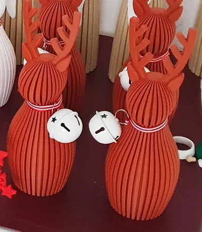 https://makerworld.bblmw.com/makerworld/comment/20260215/3652998285/4e5500ddd3b4cc95.jpg