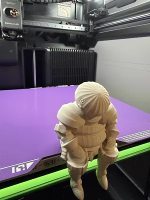 https://makerworld.bblmw.com/makerworld/comment/20260215/3768939847/9221740af2fd1935.jpeg