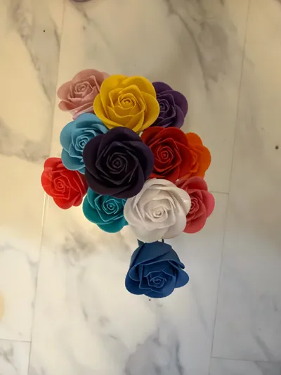 https://makerworld.bblmw.com/makerworld/comment/20260215/3901302805/edaeaee57999d937.jpg