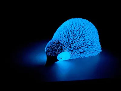 https://makerworld.bblmw.com/makerworld/comment/20260215/403878913/50d617b491546f29.jpg