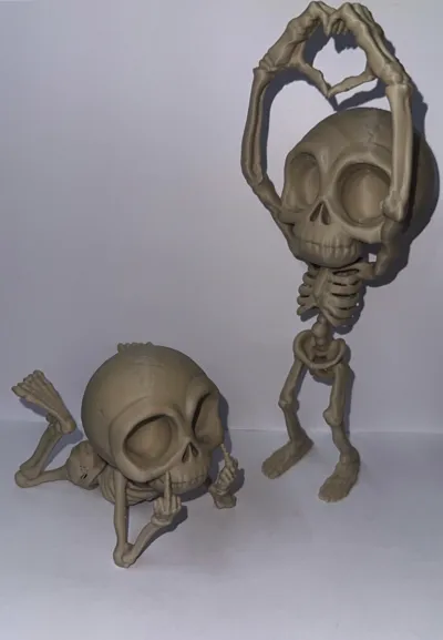https://makerworld.bblmw.com/makerworld/comment/20260215/4255071162/66e22327bfbea09e.jpg