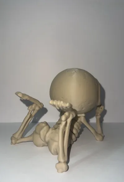 https://makerworld.bblmw.com/makerworld/comment/20260215/4255071162/79d2518d06b7942a.jpg
