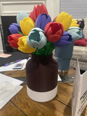 https://makerworld.bblmw.com/makerworld/comment/20260215/510643901/624333736234b66a.jpg