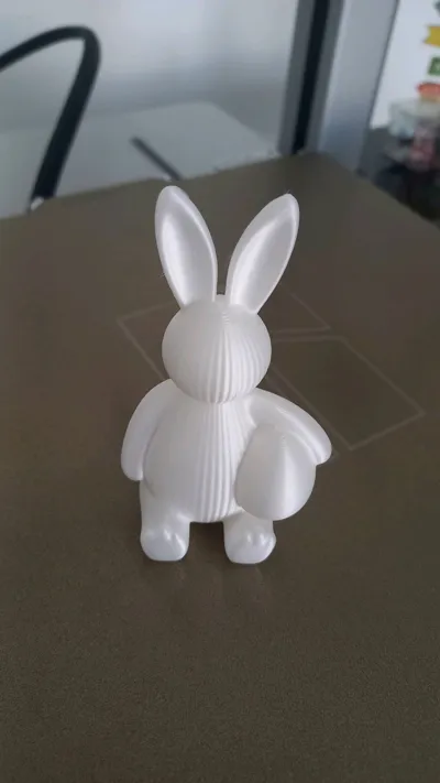 https://makerworld.bblmw.com/makerworld/comment/20260215/67762077/eebeab40e3980c13.jpg