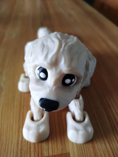 https://makerworld.bblmw.com/makerworld/comment/20260215/829014486/5409b2c48ae914ea.jpg