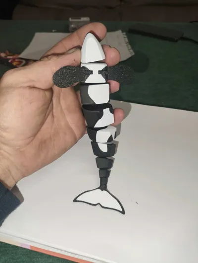 https://makerworld.bblmw.com/makerworld/comment/20260215/986102353/8a6218cba1d1968a.jpg