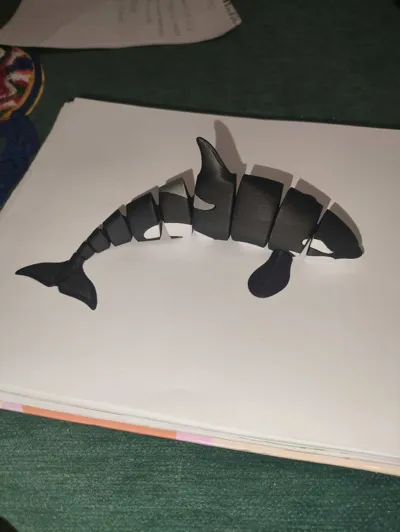 https://makerworld.bblmw.com/makerworld/comment/20260215/986102353/f5b6dbd3dca6dfbe.jpg