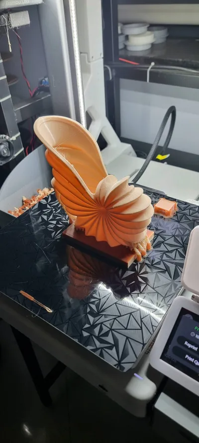 https://makerworld.bblmw.com/makerworld/comment/20260216/1250071100/c3cb0ad5c34cd550.jpg