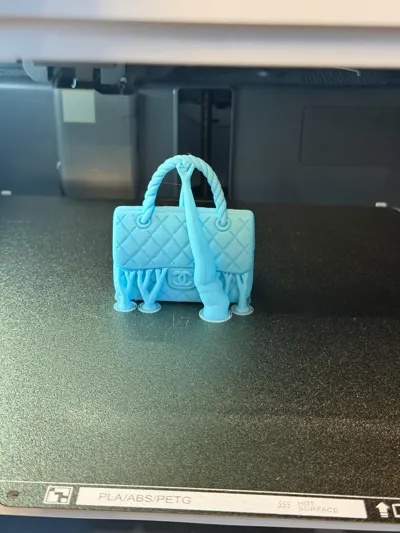 https://makerworld.bblmw.com/makerworld/comment/20260216/1264609727/26531ff72f77eb77.jpg