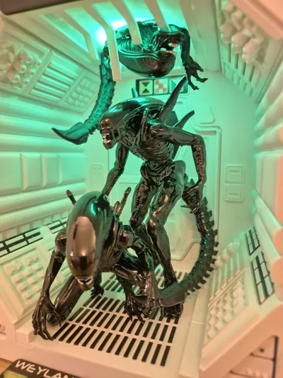 https://makerworld.bblmw.com/makerworld/comment/20260216/132837623/5e3ae0d987432dc0.jpg