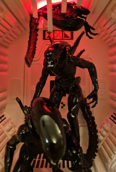 https://makerworld.bblmw.com/makerworld/comment/20260216/132837623/c18738074a44c22e.jpg