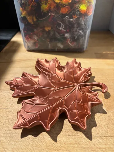 https://makerworld.bblmw.com/makerworld/comment/20260216/1348383045/08bda386f60722b1.jpg