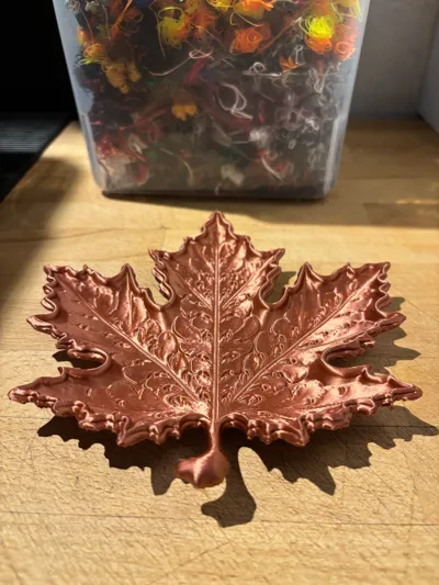 https://makerworld.bblmw.com/makerworld/comment/20260216/1348383045/a466c9817bc47db2.jpg