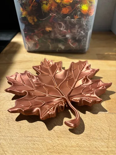 https://makerworld.bblmw.com/makerworld/comment/20260216/1348383045/d14b3a955d7e35a4.jpg