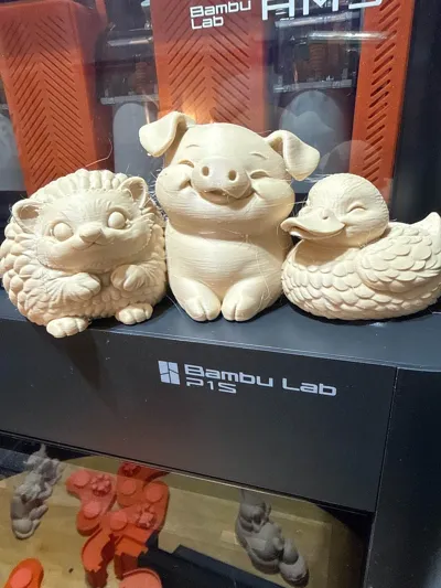 https://makerworld.bblmw.com/makerworld/comment/20260216/1370561049/53d00c7602cb4291.jpg