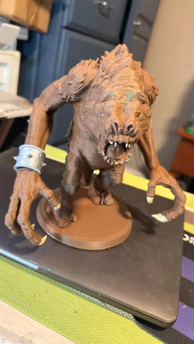 https://makerworld.bblmw.com/makerworld/comment/20260216/1516050286/07d7243bdbbca25d.jpg