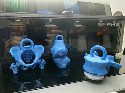 https://makerworld.bblmw.com/makerworld/comment/20260216/1641399443/7a91dd6a5af660f6.jpg