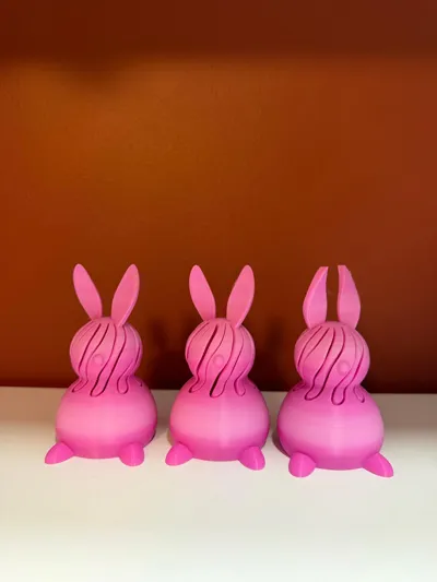 https://makerworld.bblmw.com/makerworld/comment/20260216/173459049/7554087d933d156d.jpg
