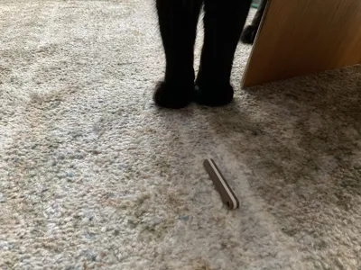 https://makerworld.bblmw.com/makerworld/comment/20260216/1769537223/20b632d906b73b6a.jpg