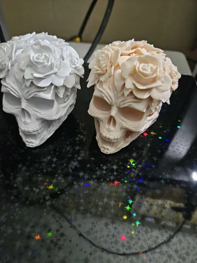 https://makerworld.bblmw.com/makerworld/comment/20260216/1859308491/8ffc1ecdce7c3373.jpg