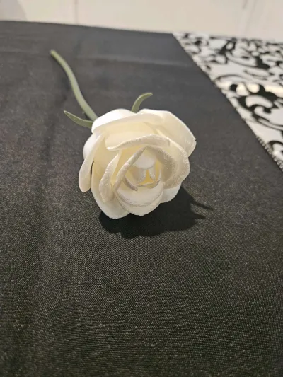 https://makerworld.bblmw.com/makerworld/comment/20260216/217923851/65fa6da86de8e1af.jpg
