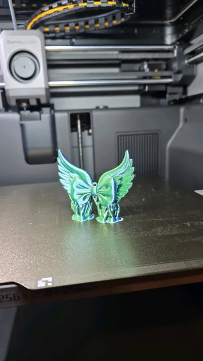 https://makerworld.bblmw.com/makerworld/comment/20260216/2454934709/13bd65a11cef7970.jpg