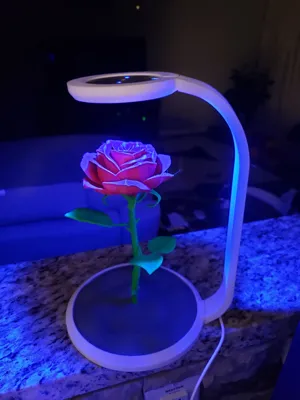 https://makerworld.bblmw.com/makerworld/comment/20260216/2480339751/c40dcd136a9bc0a5.jpg