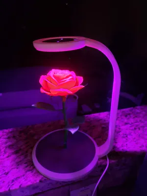 https://makerworld.bblmw.com/makerworld/comment/20260216/2480339751/d746e17d6d3f9bb6.jpg
