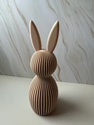 https://makerworld.bblmw.com/makerworld/comment/20260216/2487400748/518a01be8d53f35f.jpeg
