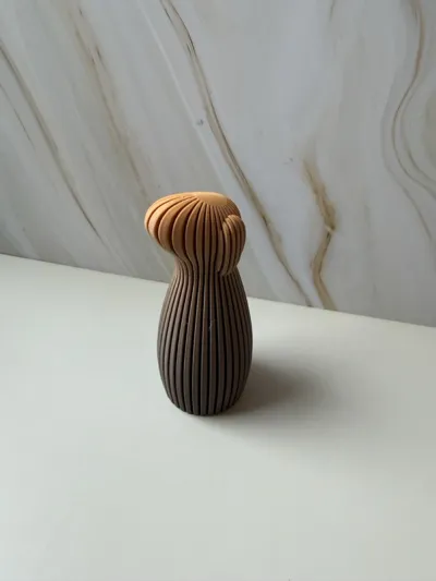 https://makerworld.bblmw.com/makerworld/comment/20260216/2487400748/96967a28479e3227.jpeg