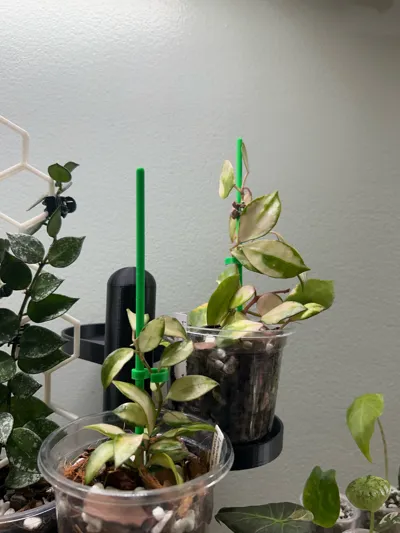 https://makerworld.bblmw.com/makerworld/comment/20260216/2740139923/30975e0a33379545.jpg
