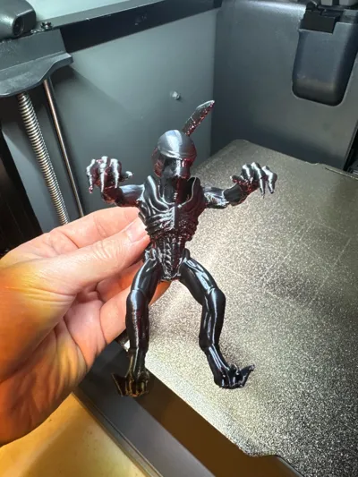 https://makerworld.bblmw.com/makerworld/comment/20260216/286766290/03ef15e1265f97c6.jpg
