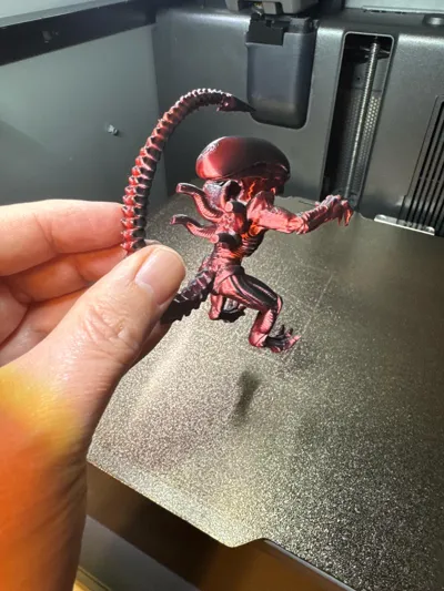 https://makerworld.bblmw.com/makerworld/comment/20260216/286766290/bd356be1c61e8568.jpg