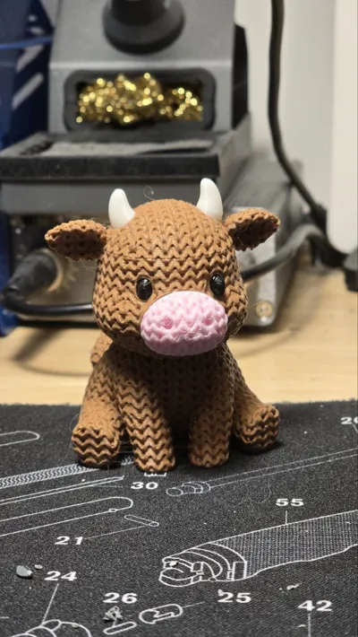 https://makerworld.bblmw.com/makerworld/comment/20260216/2914337544/7d96350fec9a7b11.jpg