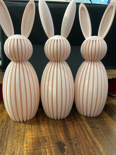 https://makerworld.bblmw.com/makerworld/comment/20260216/3114674013/3def8eddd15b9339.jpg