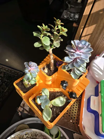https://makerworld.bblmw.com/makerworld/comment/20260216/3219448837/bcbb9895e463a81d.jpg