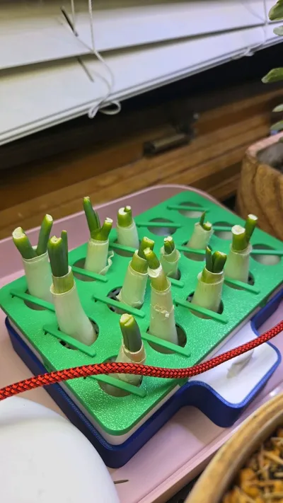 https://makerworld.bblmw.com/makerworld/comment/20260216/3219448837/d6b52ab881bd4fec.jpg