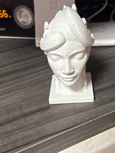 https://makerworld.bblmw.com/makerworld/comment/20260216/3229965429/8f47df5e484f3a41.jpg