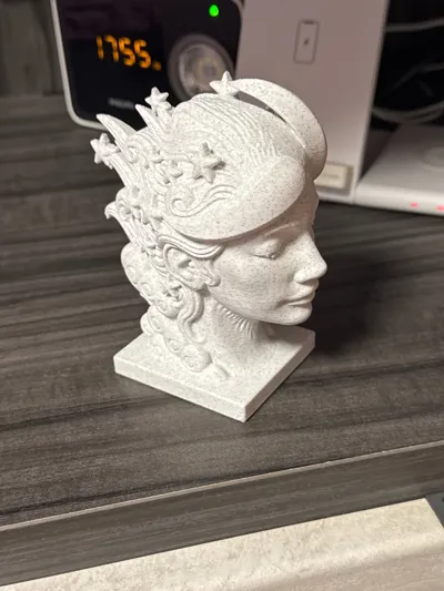 https://makerworld.bblmw.com/makerworld/comment/20260216/3229965429/a8351c2ccf508417.jpg