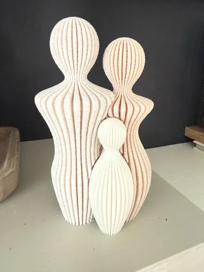 https://makerworld.bblmw.com/makerworld/comment/20260216/3381792179/876feff710f31c52.jpg