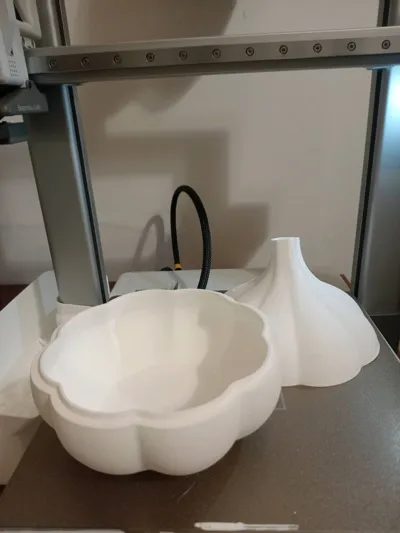 https://makerworld.bblmw.com/makerworld/comment/20260216/3454165209/bef98513265b0143.jpg