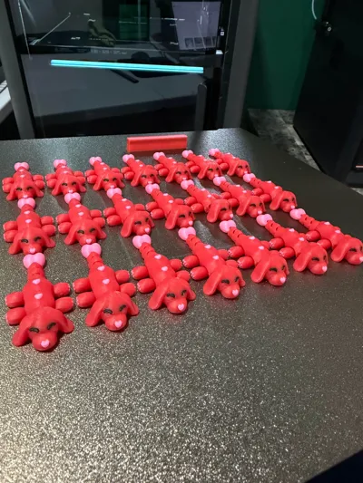 https://makerworld.bblmw.com/makerworld/comment/20260216/3670720244/acf9eef53b06de7b.jpg