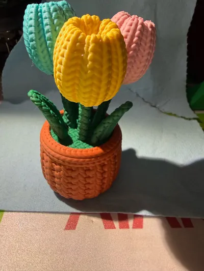 https://makerworld.bblmw.com/makerworld/comment/20260216/3841848686/2c93b8f3e05331be.jpg