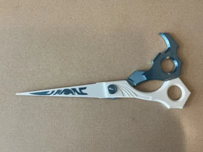 https://makerworld.bblmw.com/makerworld/comment/20260216/3954801232/af63e2b74556356a.jpg