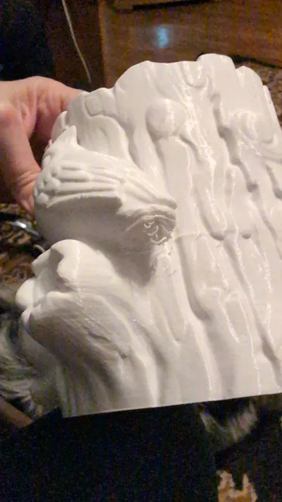 https://makerworld.bblmw.com/makerworld/comment/20260216/3999920762/2639518e19d0fd86.jpg
