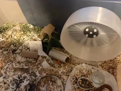 https://makerworld.bblmw.com/makerworld/comment/20260216/42271335/3e03ce86d79b563a.jpg