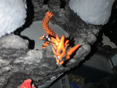 https://makerworld.bblmw.com/makerworld/comment/20260216/59366502/3812137d3ad2c83c.jpg
