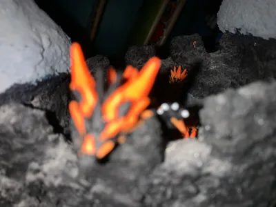 https://makerworld.bblmw.com/makerworld/comment/20260216/59366502/9d421732c7c21d2b.jpg