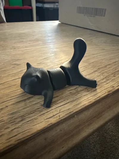 https://makerworld.bblmw.com/makerworld/comment/20260216/599244037/ba384659f773b0c5.jpg