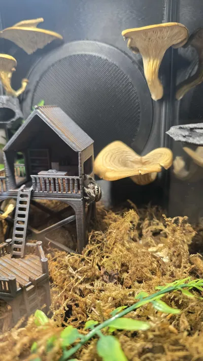 https://makerworld.bblmw.com/makerworld/comment/20260216/736562780/990e89c525ca9278.jpg